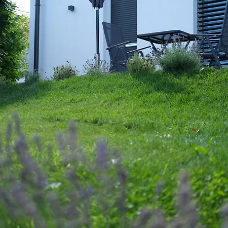 Modern, Stilusos Paloznakon